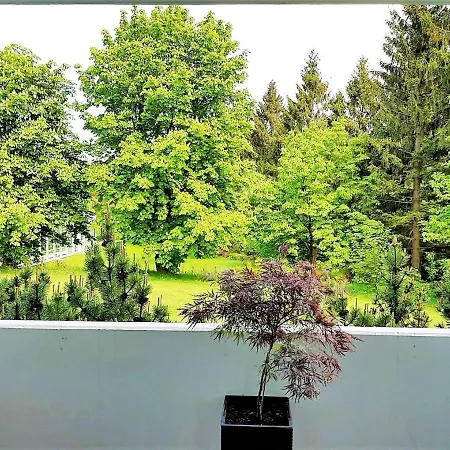 Grossdorf Waldsuite Im Harz