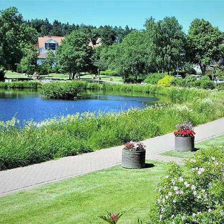 Apartment Grossdorf Waldsuite Im Harz Goslar
