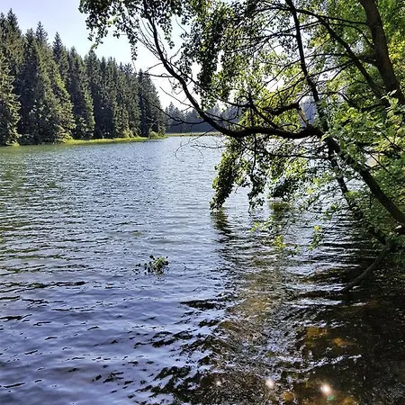 Apartment Grossdorf Waldsuite Im Harz *