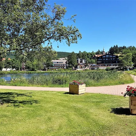 Grossdorf Waldsuite Im Harz * 戈斯拉尔