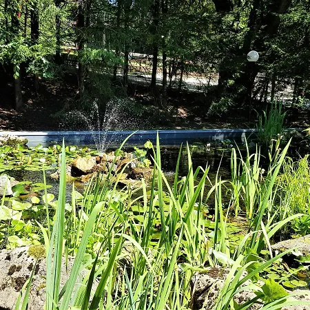 Lejlighed Grossdorf Waldsuite Im Harz *