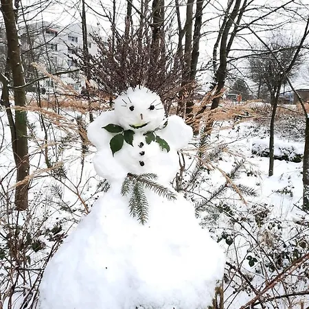 Grossdorf Waldsuite Im Harz Goslar