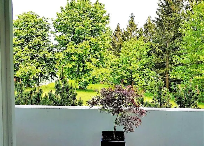 Grossdorf Waldsuite Im Harz