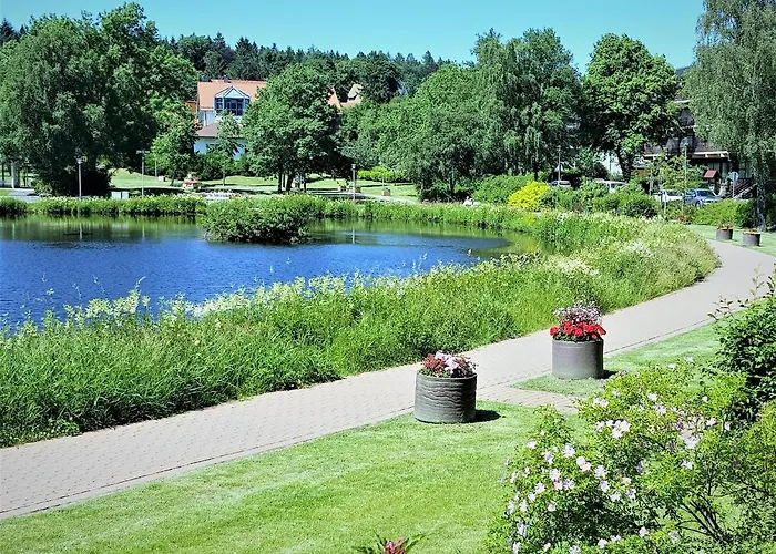 Daire Grossdorf Waldsuite Im Harz Goslar