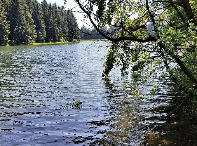 Daire Grossdorf Waldsuite Im Harz *