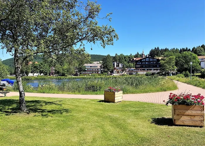 Grossdorf Waldsuite Im Harz * 戈斯拉尔