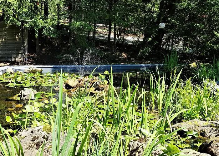 Daire Grossdorf Waldsuite Im Harz *