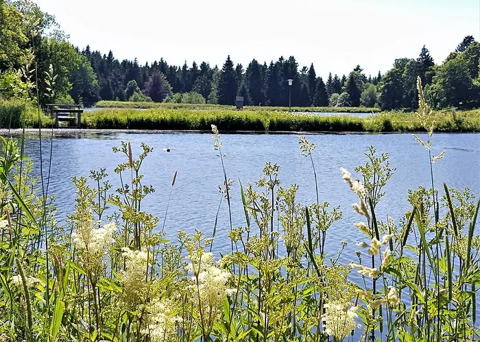 Daire Grossdorf Waldsuite Im Harz *