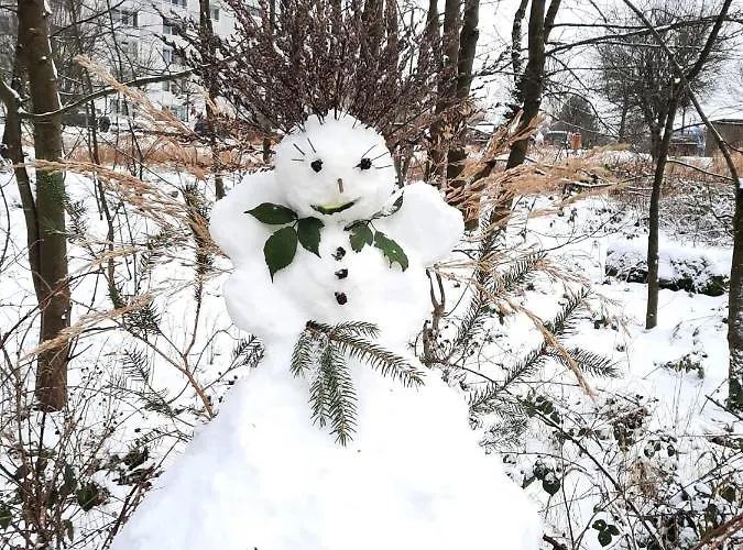 Grossdorf Waldsuite Im Harz Goslar